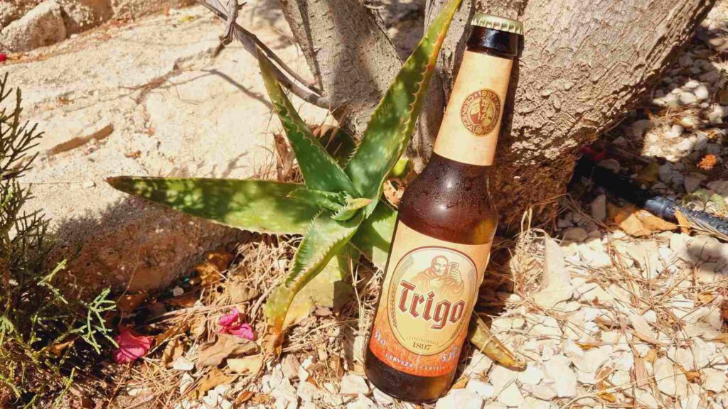 1897 Trigo Bierwertung.de Bierwertung Biertest1