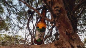Brewdog Dead Pony Club Session IPA Bierwertung.de Bierwertung Biertest2
