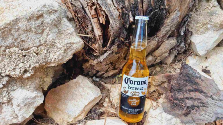 Corona Cerveza Bierwertung.de Bierwertung Biertest2