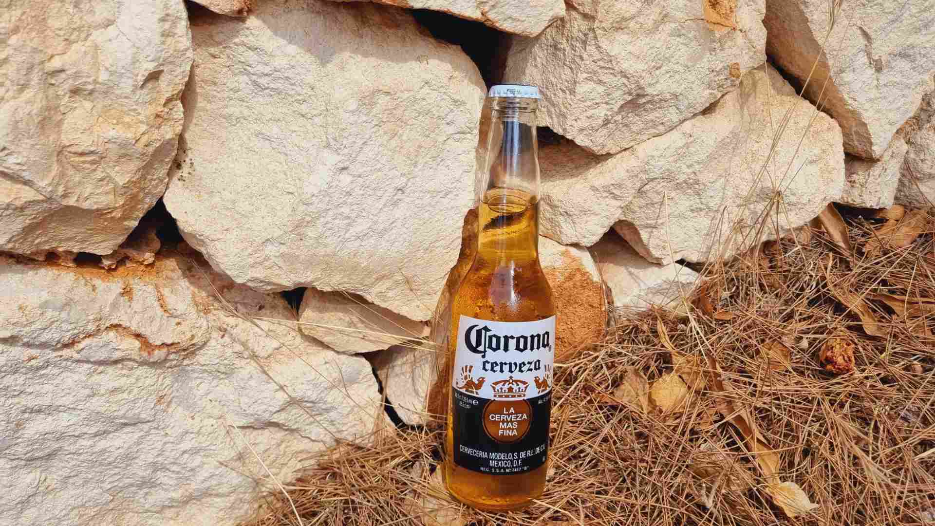 Corona Cerveza Bierwertung.de Bierwertung Biertest3