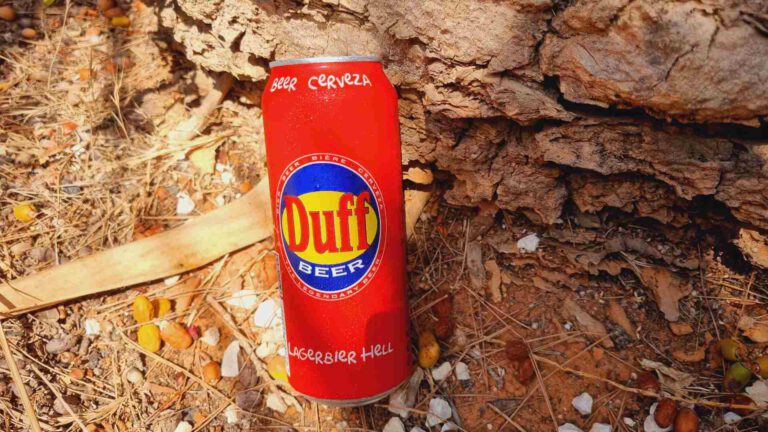 Duff Beer Bierwertung.de Bierwertung Biertest2