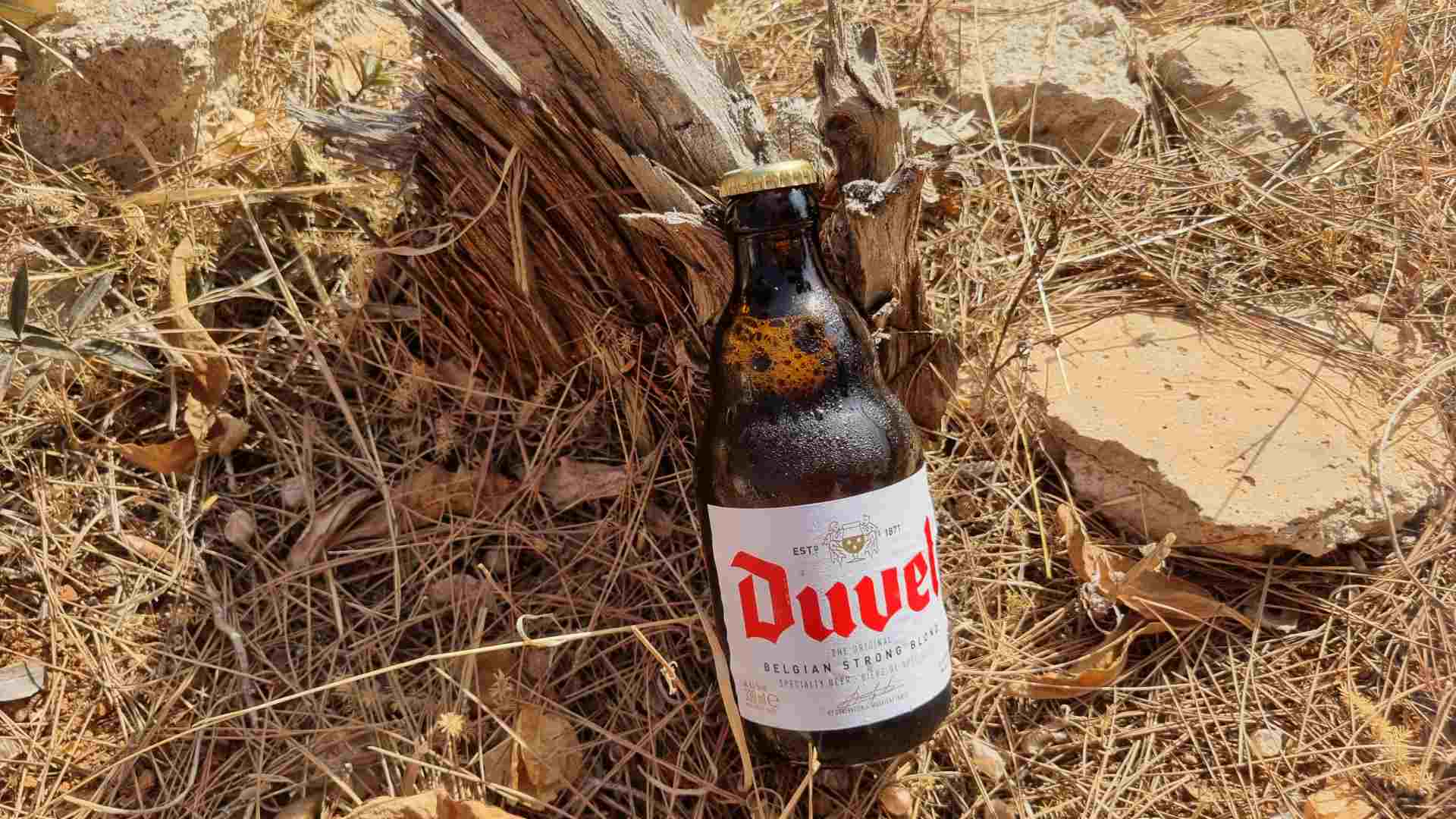 Duvel Original Bierwertung.de Bierwertung Biertest1