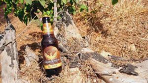 Grimbergen Blonde Bierwertung.de Bierwertung Biertest2