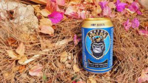 Hop Rider Wheat Pale Ale Bierwertung.de Bierwertung Biertest2