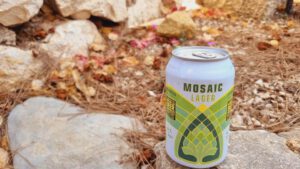 Pyynikin Mosaic Lager Bierwertung.de Bierwertung Biertest2