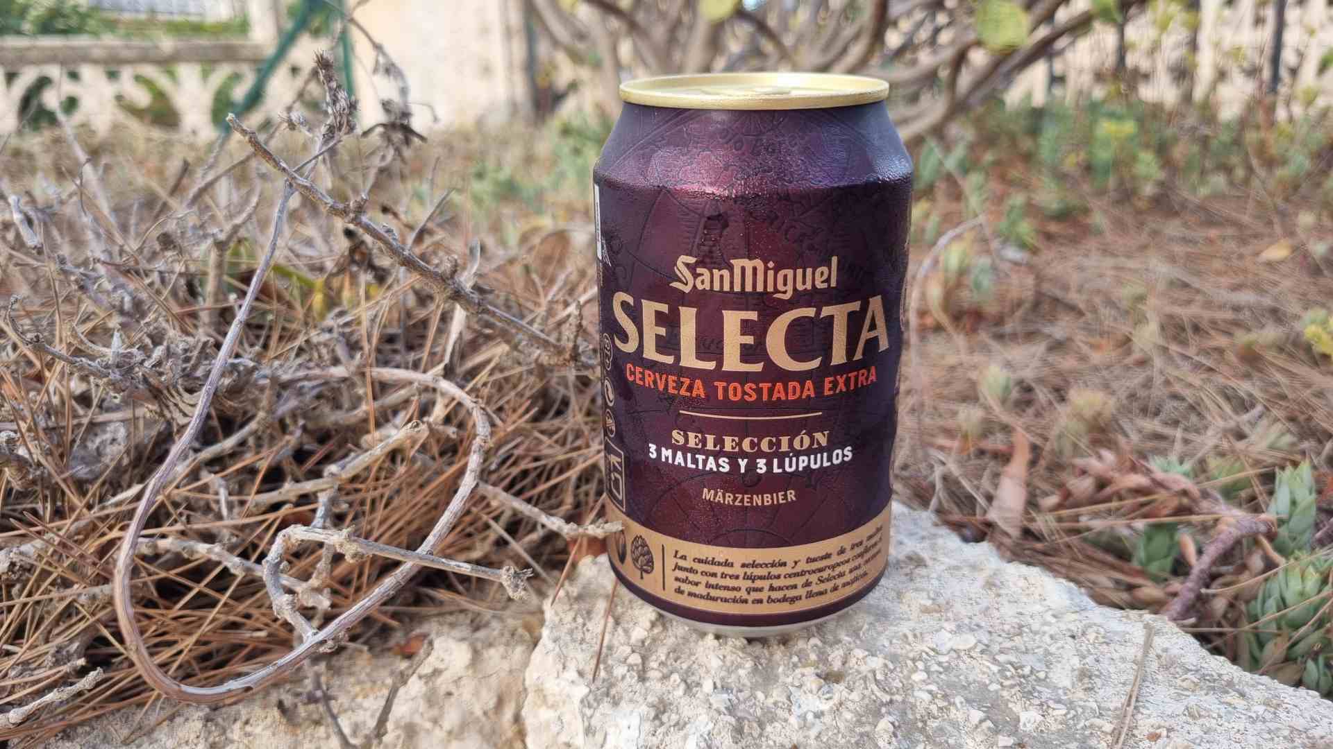 San Miguel Selecta Bierwertung.de Bierwertung Biertest2