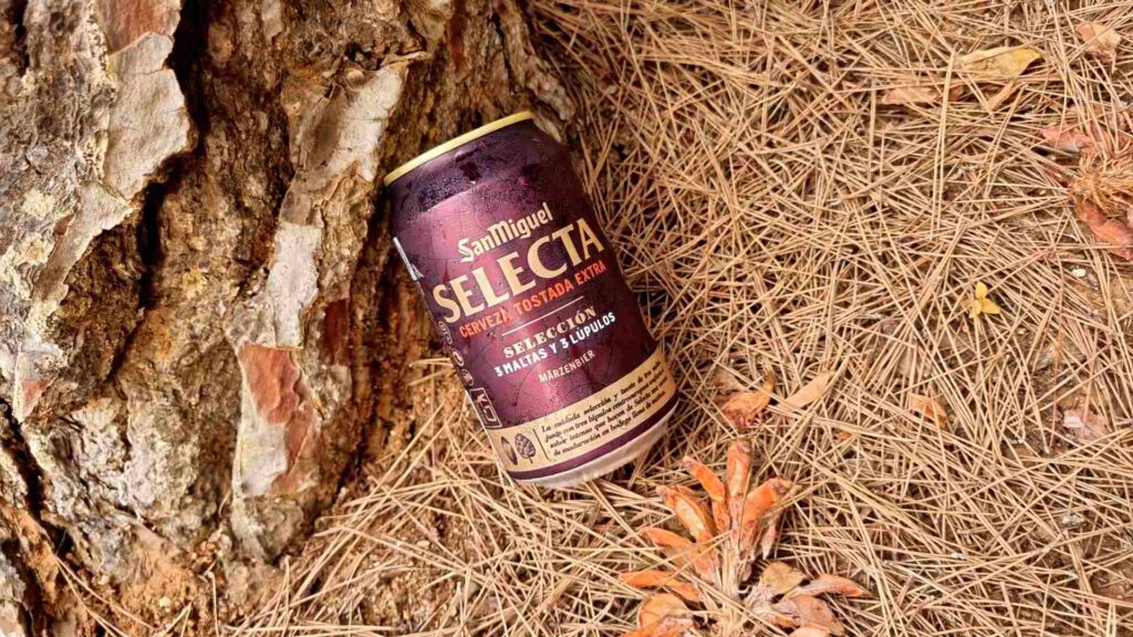 San Miguel Selecta Bierwertung.de Bierwertung Biertest3