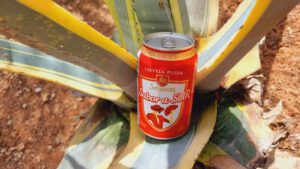 Steinburg Sabor a SUR Bierwertung.de Bierwertung Biertest2