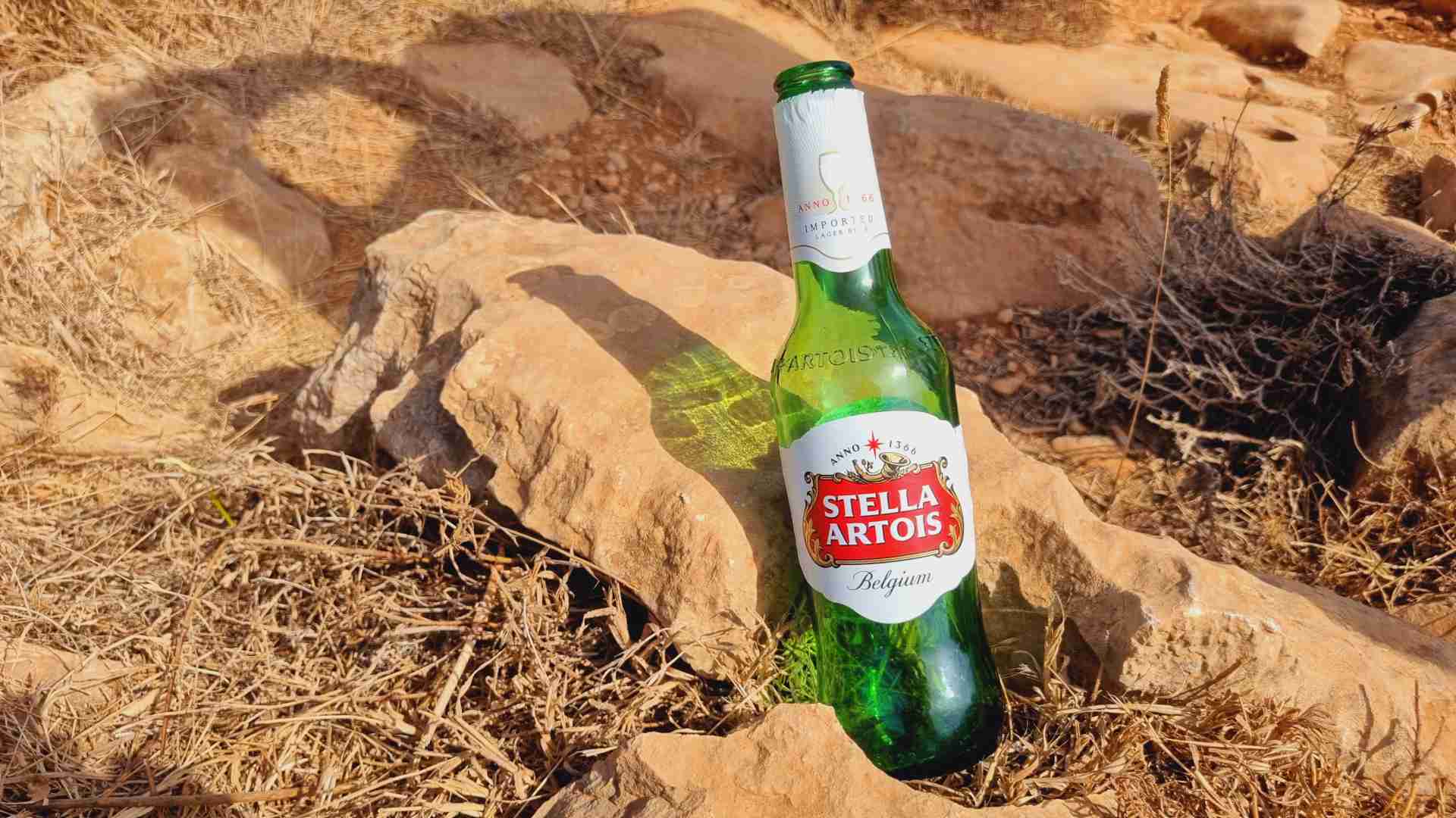 Stella Artois Bierwertung.de Bierwertung Biertest3