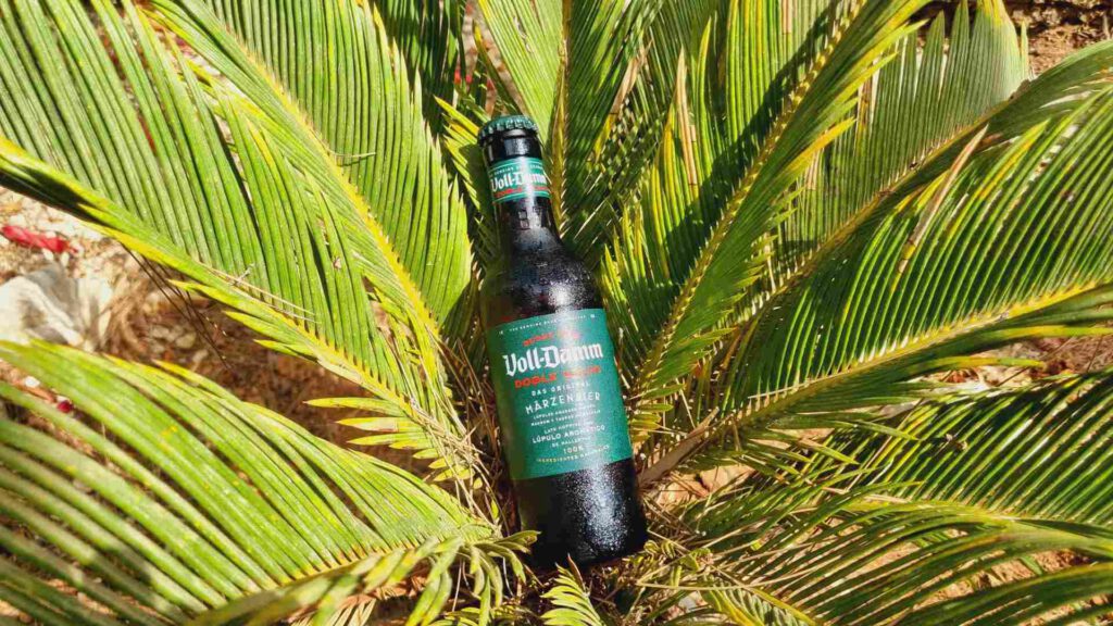 Voll-Damm Doble Malta Bierwertung.de Bierwertung Biertest2