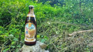 Dinkelbier naturtrüb3