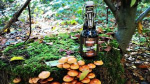 Altenauer Harzer Dunkel