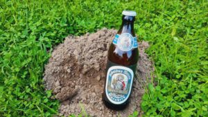 Sebaldus Weizen Helles Hefe2