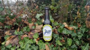 Böcken-Bräu Jupps Biergartenbier Blond Ale3