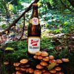 Stiegl Goldbräu