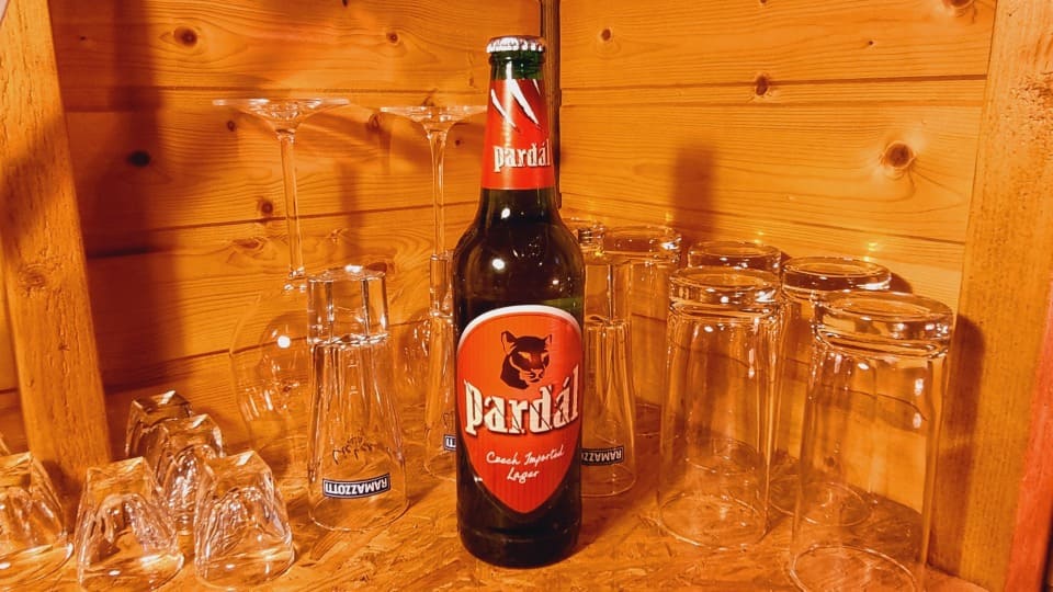 Pardal Czech Imported Lager3
