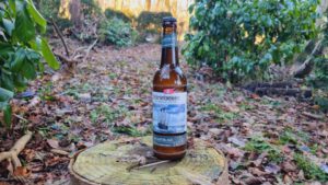 Störtebeker Atlantik-Ale6