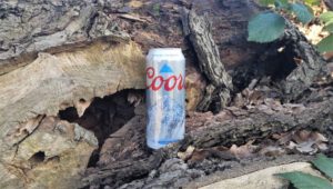 Coors American Lager5