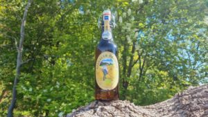 Allgäuer Ökobier Helles Export5