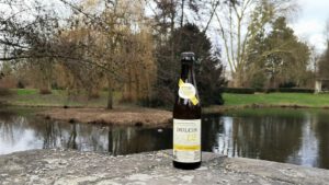 Riegele BierManufaktur Dulcis 12e