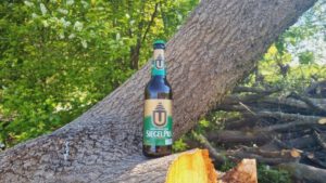 Dortmunder Union Siegel Pils5
