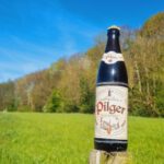 Paderborner Pilger Landbier naturtrüb