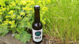 BRLO Pale Ale5