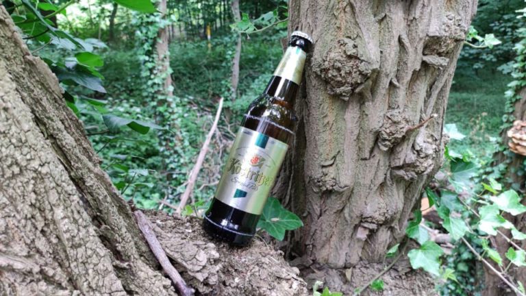 Köstritzer Spezial Pils5