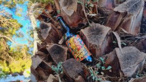 Blonde's Pop Craft Beer6