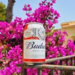 Budweiser Anheuser-Busch