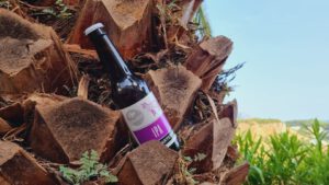 Carrefour Sensation IPA6