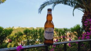 Hoegaarden Witbier6