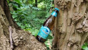Kona Big Wave Golden Ale5