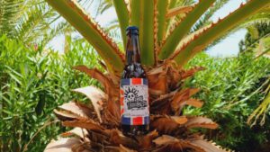 Sir Beercious IPA Craft Beer6