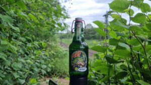 Bölkstoff Pilsner5
