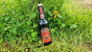 Vielanker Craft Beer Brown Ale5