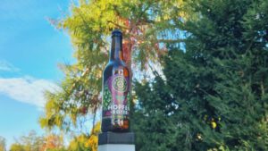 Maisel & Friends Hopfenreiter 2022 Double IPA5