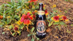 Augustinerbräu München Dunkel5
