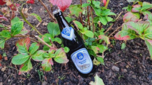 Hofbräu Münchner Weisse5