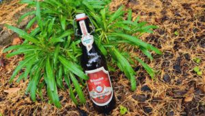 Schwaben Bräu Das WinterBier5