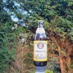Paulaner Münchner Hell