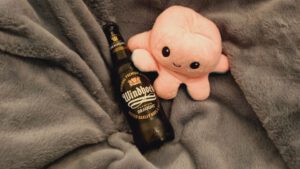 Windhoek Premium Draught5