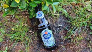 Schneider Weisse Festweisse Weissbier5