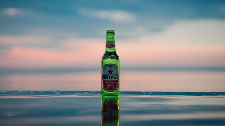 Alkoholgehalt und Kalorien im Bier Ein Blick auf den Zusammenhang