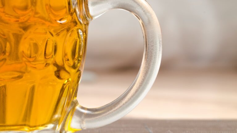 Hopfenanbau und -ernte Ein Blick hinter die Kulissen der Hopfenproduktion