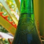 Alhambra Reserva 1925