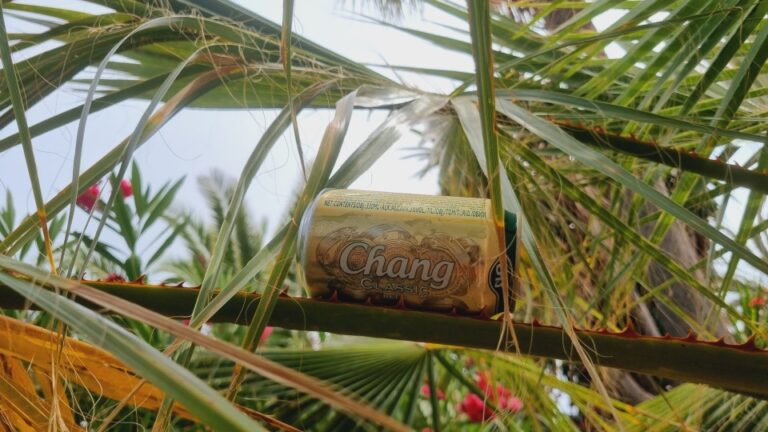 Chang Classic Beer6