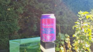 Brewdog Neon Dream5