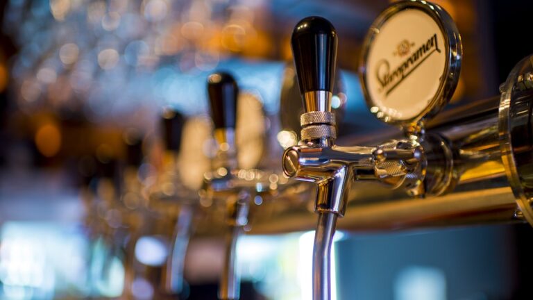 Tschechisches Bier Eine Übersicht über die besten tschechischen Biere