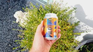 Brewdog Pilot #30 Sommerpause Märzen5